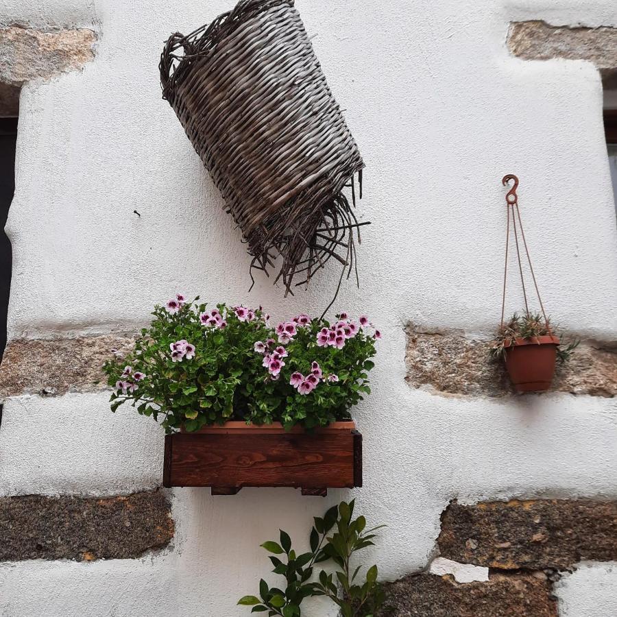 La Corte Di Grazia_Iun P2039/40 Nuoro  Luaran gambar